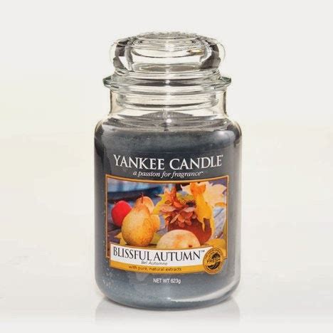 Find Your Favorite Scent in Yankee Candle's Nocturnal Magic Line